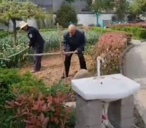 康寿老年公寓老人在种菜