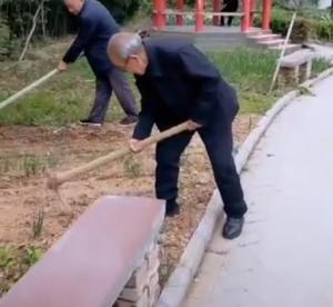 康寿老年公寓的老人开心种菜